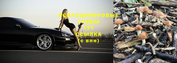 ГАЛЛЮЦИНОГЕННЫЕ ГРИБЫ Алзамай